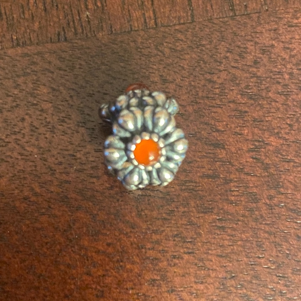 Pandora Charm